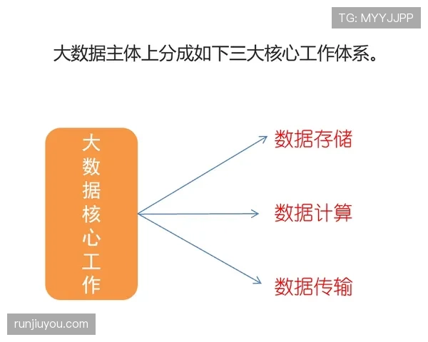 全面解析技术犯规处罚规则的构成与执行标准